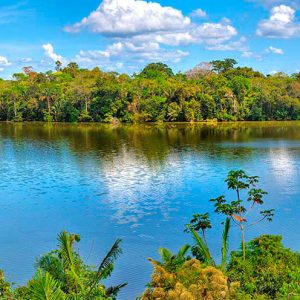 Manu Ecological Cultural 5 days / 4 nights