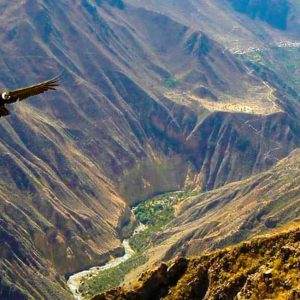 Tour Cañon del Condor Cusco 1 dia
